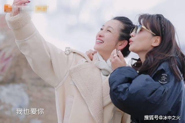 动物帮帮忙保卫家园